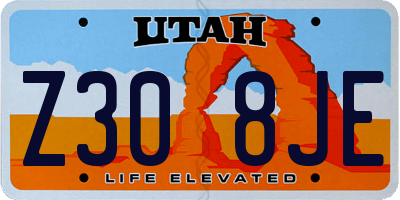 UT license plate Z308JE