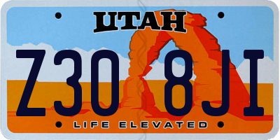 UT license plate Z308JI