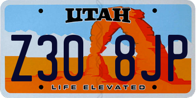 UT license plate Z308JP