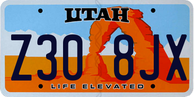 UT license plate Z308JX