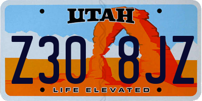 UT license plate Z308JZ