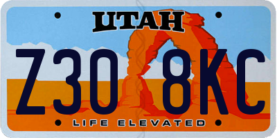 UT license plate Z308KC