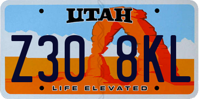 UT license plate Z308KL