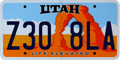 UT license plate Z308LA