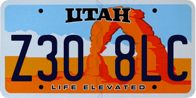 UT license plate Z308LC