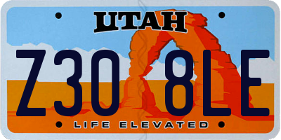 UT license plate Z308LE
