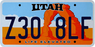 UT license plate Z308LF