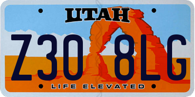 UT license plate Z308LG