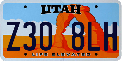UT license plate Z308LH