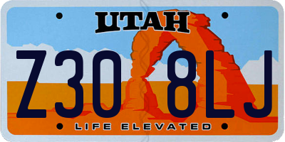 UT license plate Z308LJ