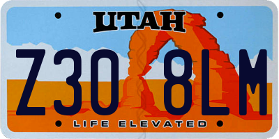 UT license plate Z308LM