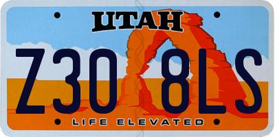 UT license plate Z308LS