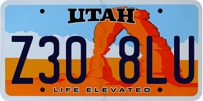 UT license plate Z308LU