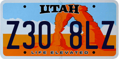 UT license plate Z308LZ