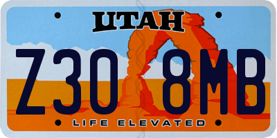 UT license plate Z308MB
