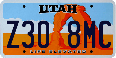 UT license plate Z308MC