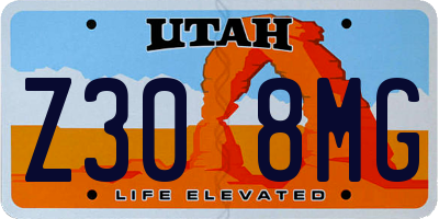 UT license plate Z308MG