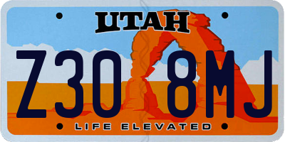 UT license plate Z308MJ