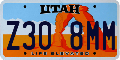 UT license plate Z308MM