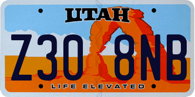 UT license plate Z308NB
