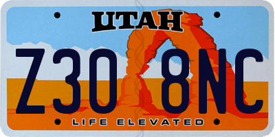 UT license plate Z308NC