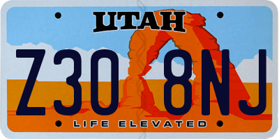 UT license plate Z308NJ