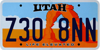 UT license plate Z308NN