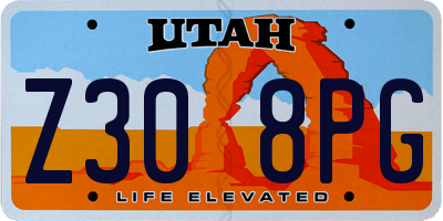UT license plate Z308PG