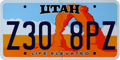 UT license plate Z308PZ