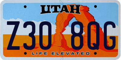 UT license plate Z308QG