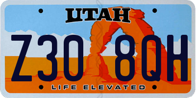 UT license plate Z308QH