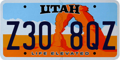 UT license plate Z308QZ