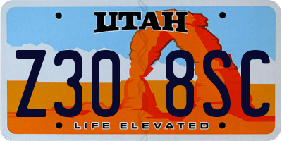 UT license plate Z308SC