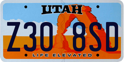 UT license plate Z308SD