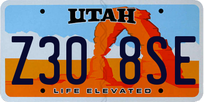 UT license plate Z308SE
