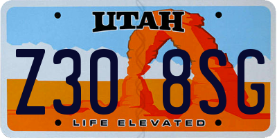 UT license plate Z308SG