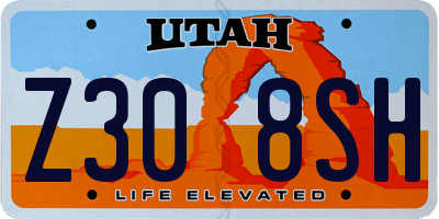 UT license plate Z308SH