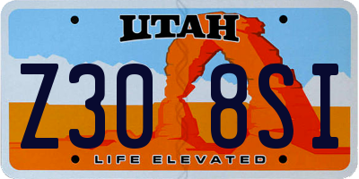 UT license plate Z308SI