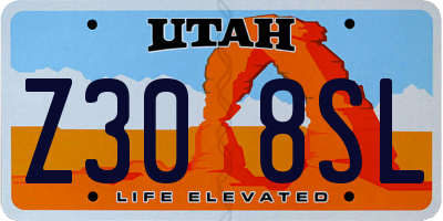 UT license plate Z308SL