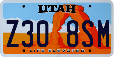 UT license plate Z308SM