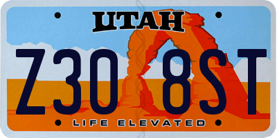 UT license plate Z308ST