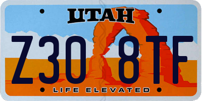 UT license plate Z308TF
