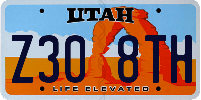 UT license plate Z308TH