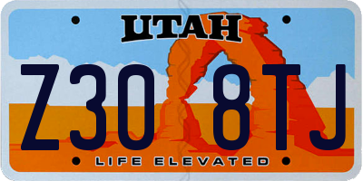 UT license plate Z308TJ