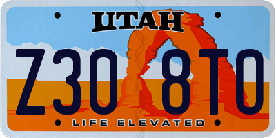 UT license plate Z308TO