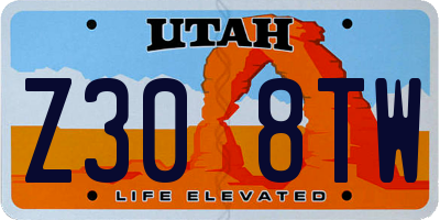 UT license plate Z308TW