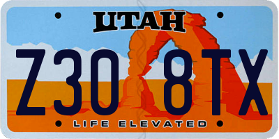 UT license plate Z308TX