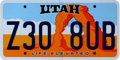 UT license plate Z308UB