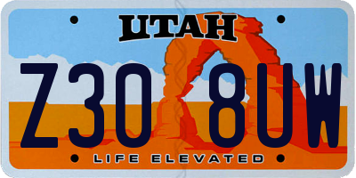UT license plate Z308UW