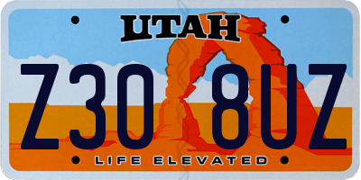 UT license plate Z308UZ